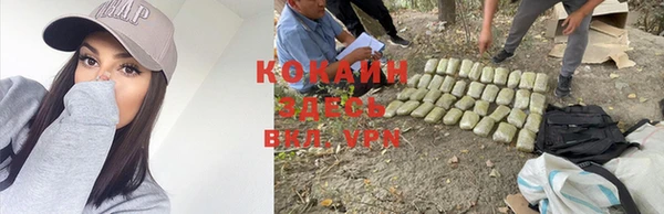 меф Пересвет