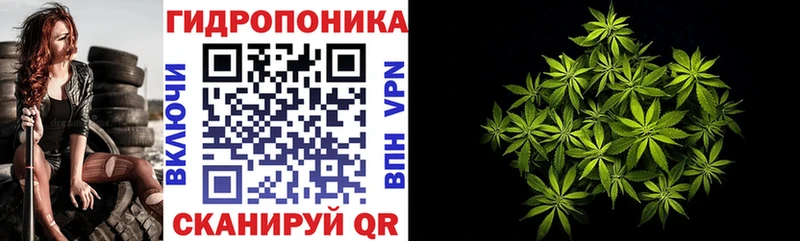 Купить где  Калининец  Бошки марихуана марихуана 